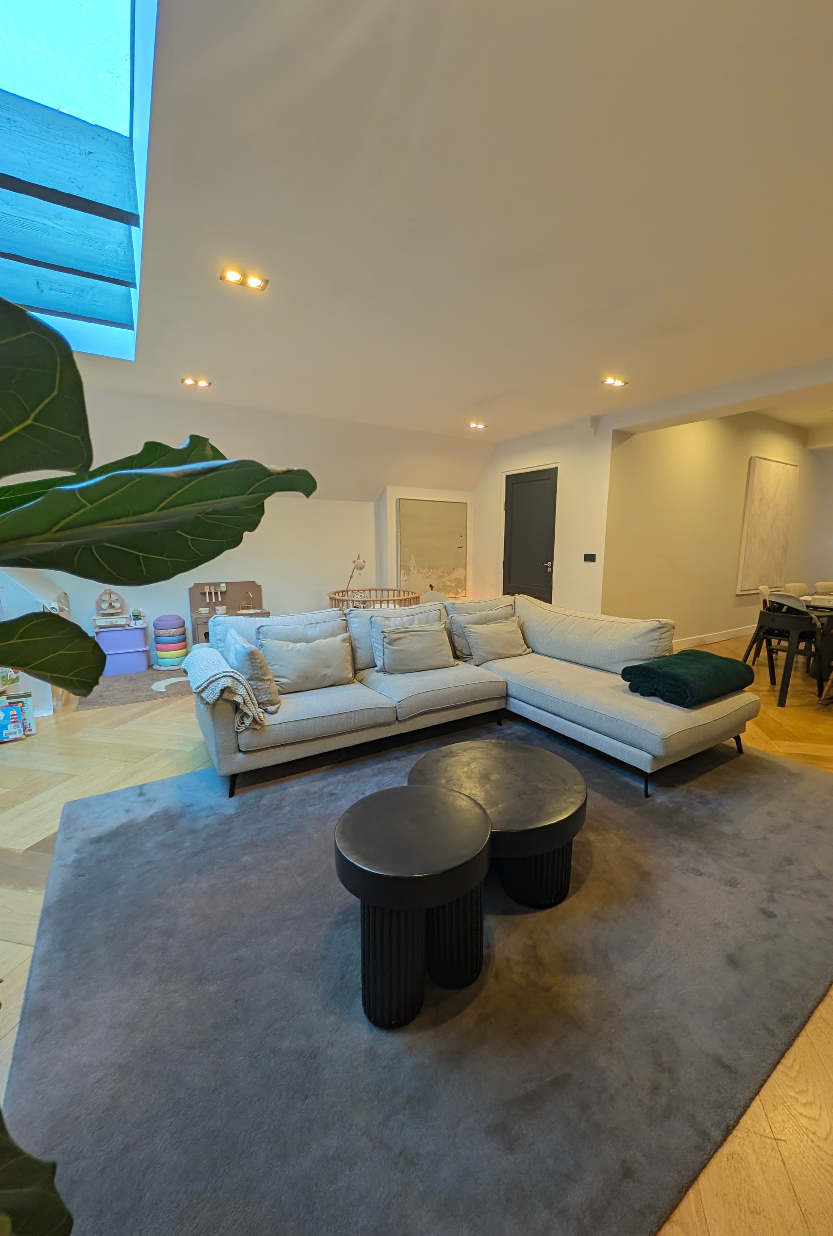 Living Room Skylight